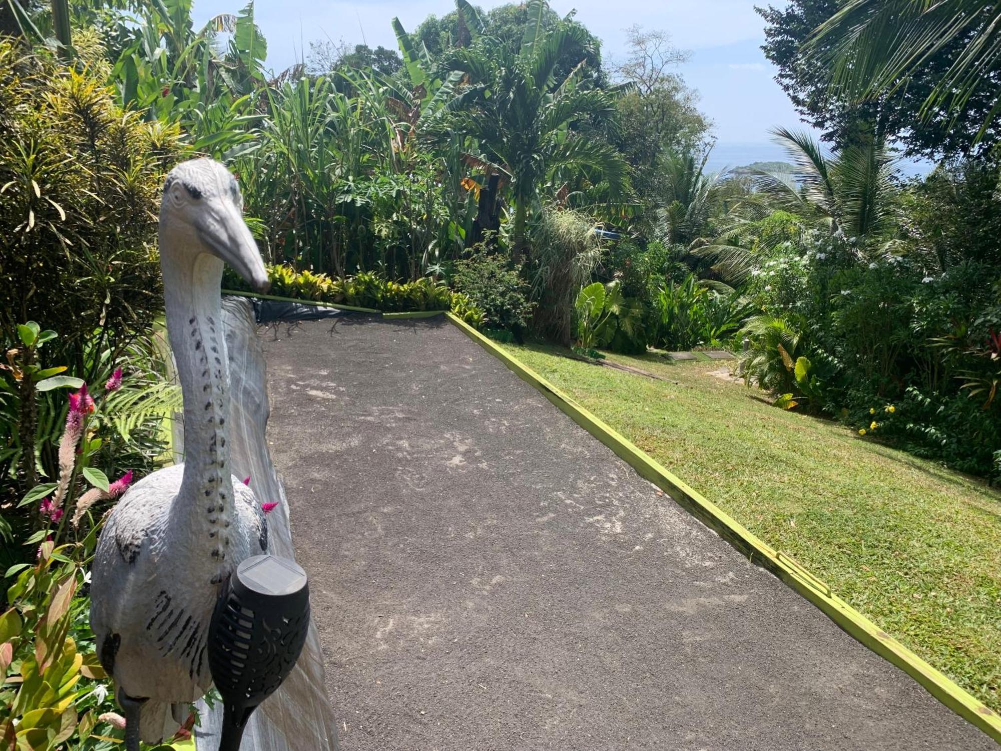 Les Ilets Caraibes Vue Mer Bouillante Kültér fotó