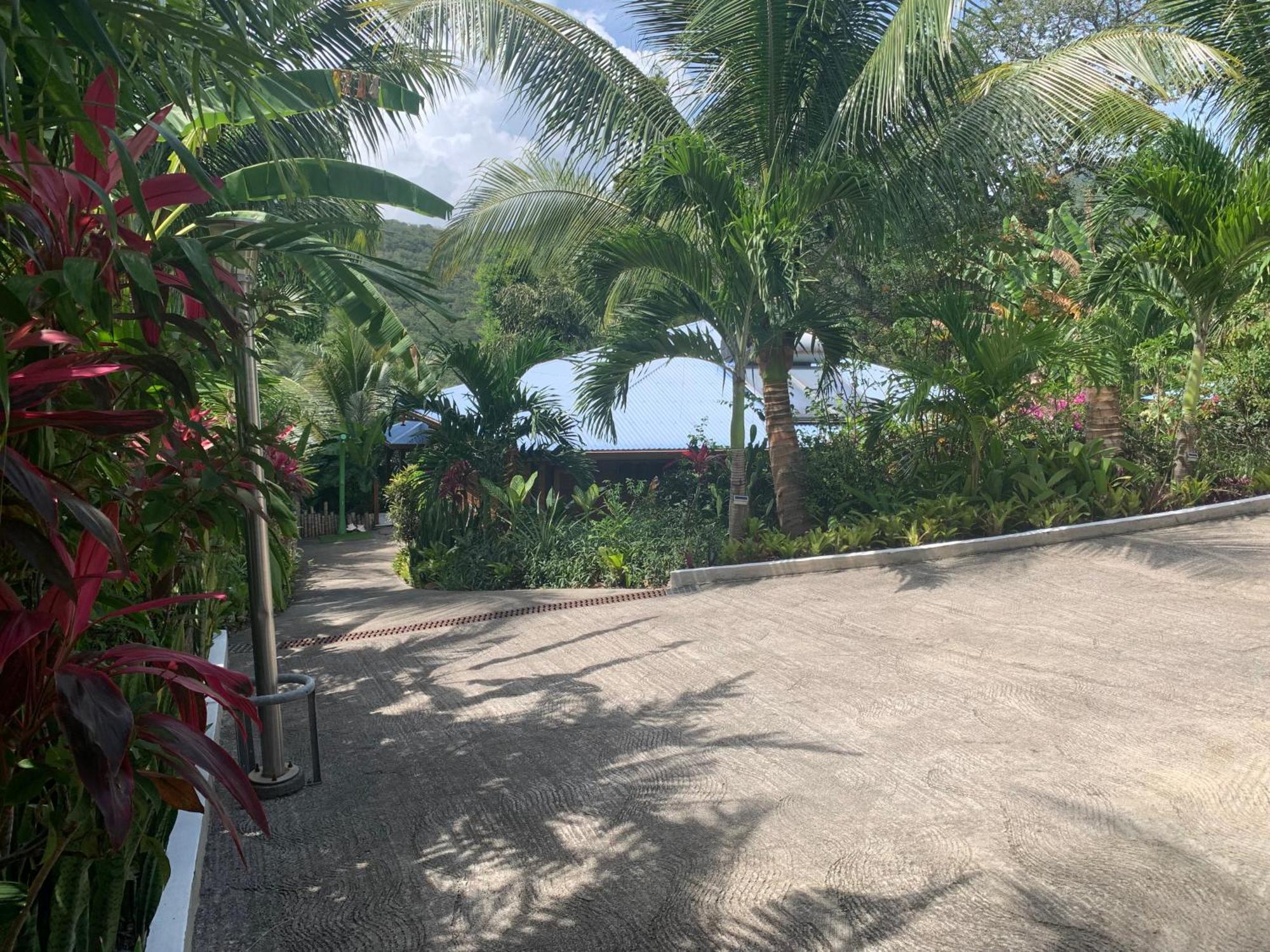 Les Ilets Caraibes Vue Mer Bouillante Kültér fotó