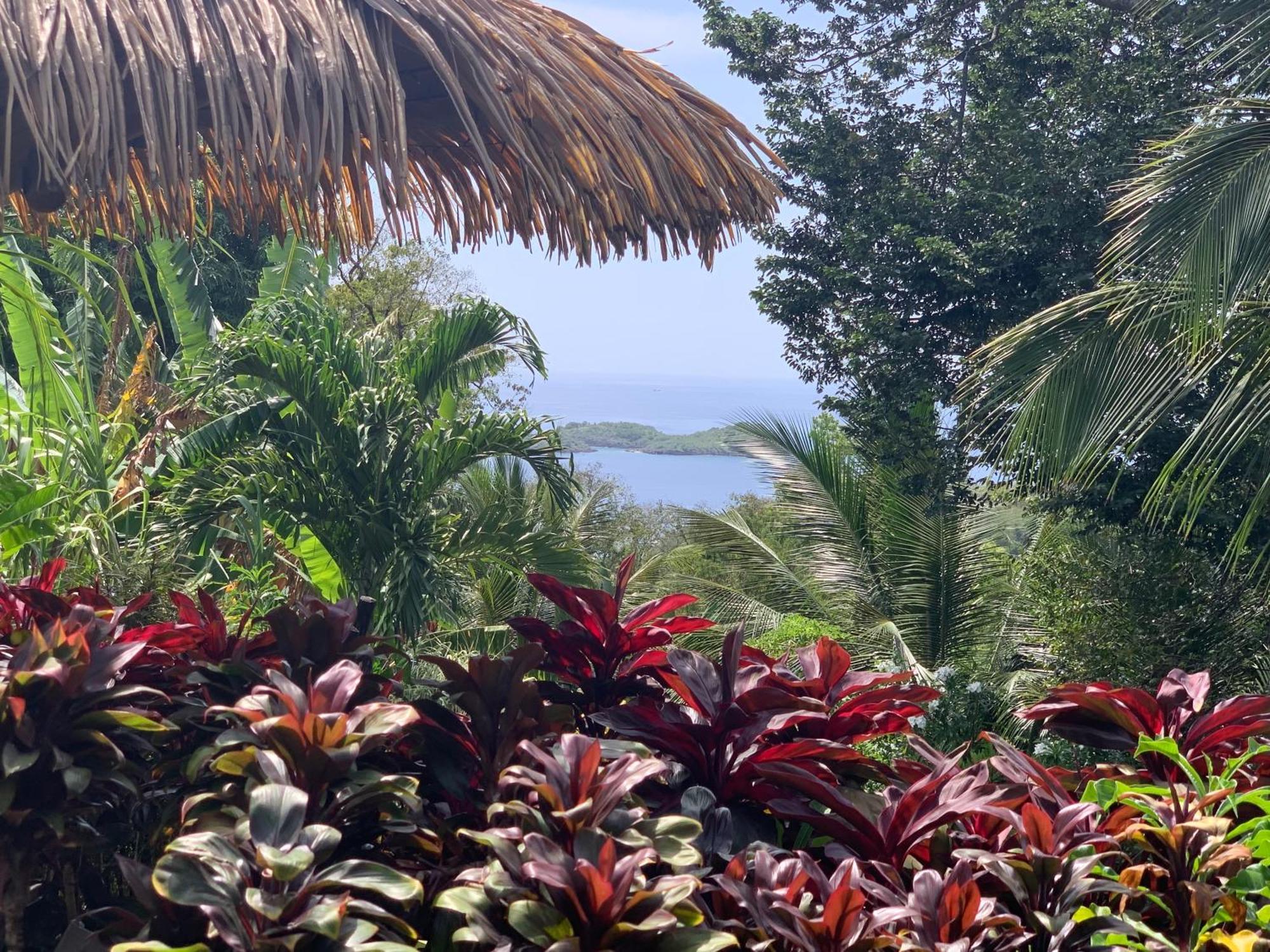Les Ilets Caraibes Vue Mer Bouillante Kültér fotó